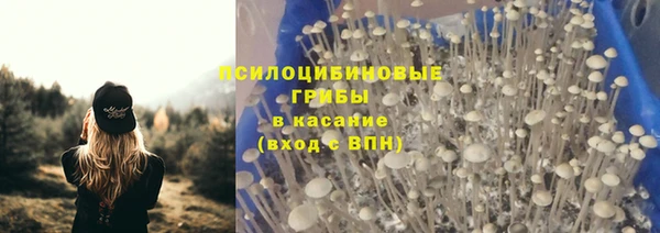 кокс Богданович