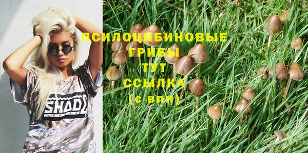 кокс Богданович