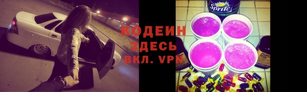 индика Белокуриха