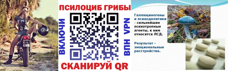 Псилоцибиновые грибы Cubensis  Велиж 